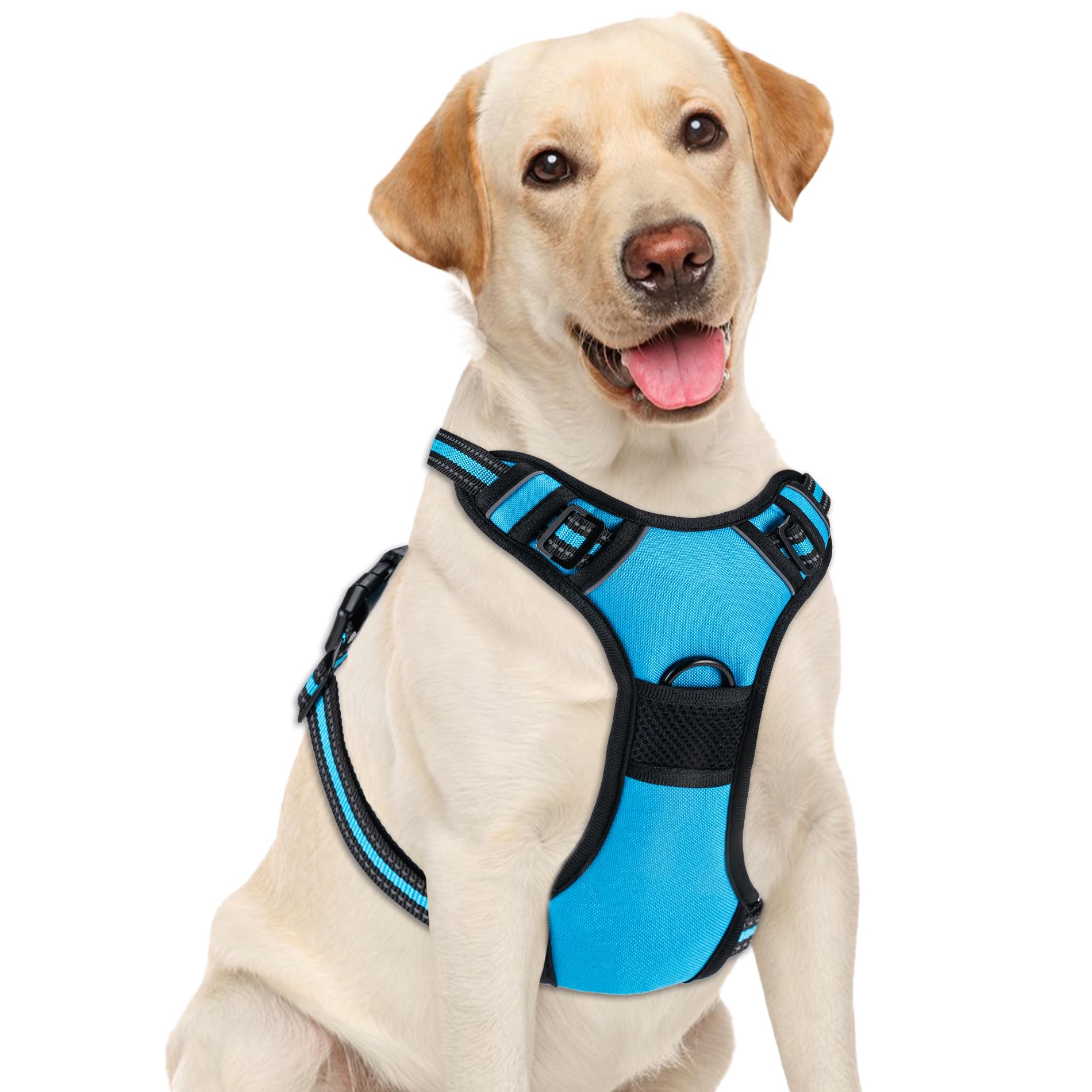 Amazon.co.jp: Yintrest 引っ張り防止犬用ハーネス、調節可能な反射